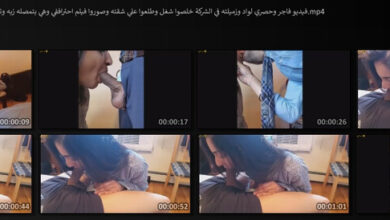 فيديو فاجر وحصري لواد وزميلته في الشركة خلصوا شغل وطلعوا علي شقته وصوروا فيلم احتراففي وهي بتمصله زبه وترضعه وفي الاخر الفيديو اتسرب - افلام سكس محارم ودياثة