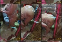 ديوث مصري بيصور مراته وهي بتستحمي بيكلمو بعض بيقولها تحبي اللي ينيكك يبقا شكله ايه وهي تشرحله - سكس دياثة وتعريص مصري جديد