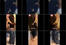 مصري فاجر بينيك خليجيه ياخذها البر تمسك الزب تمص ومش عايزه تسيبه ويبعصها في طيزها وكسها المحروم وتقول يلا عشان خايفه زوجي يجي - افلام سكس خليجي جديدة