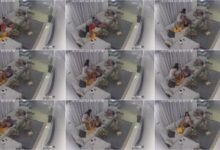 تهيج على زوجها قدام امه تحك كسها وطيازها عليه عشان ينيكها بتستحي امه وتهرب من الصاله عشان يطفي شهوتها - افلام سكس دياثة محارم