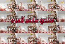 جايب جارته البيت ومخبى الكاميرا ويفشخها نيك ع السرير المرة نايمة تتناك تحته - افلام سكس ميلفات مصري جايب جارته البيت ومخبى الكاميرا ويفشخها نيك ع السرير المرة نايمة تتناك تحته - افلام سكس ميلفات مصري