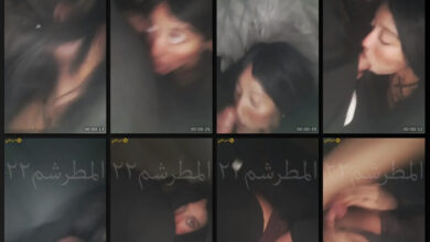 بنوتة لبوة بتروح لحبيبها الشقة في غياب أهله عشان تمصله زبه - افلام سكس مصري كابل